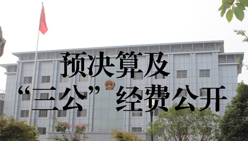 預決算及三公經費公開.jpg